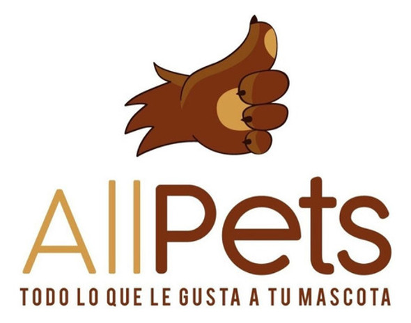 Planta Desértica 20cm Reptiles Gecko Pogona Insectario 1