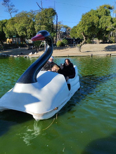 Hidropedales Modelo Cisnes Para 2 A 3 Pasajeros 1