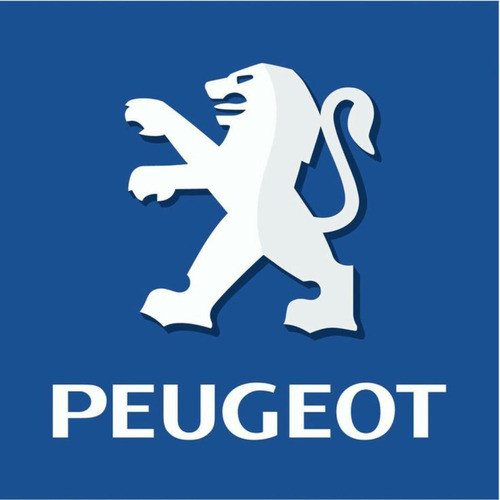 Bagueta Parabrisas Delantero Izquierdo Peugeot 308 408 0