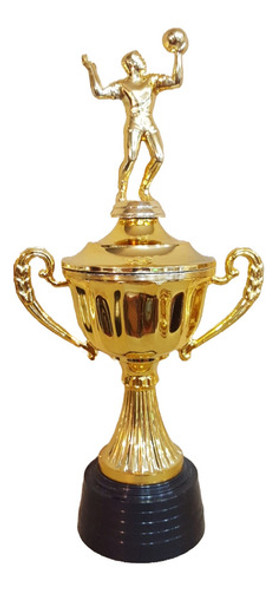 Copa Plástica Con Asas Voley Volley Trofeo 0 Copa Plástica Con Asas Voley Volley Trofeo 0