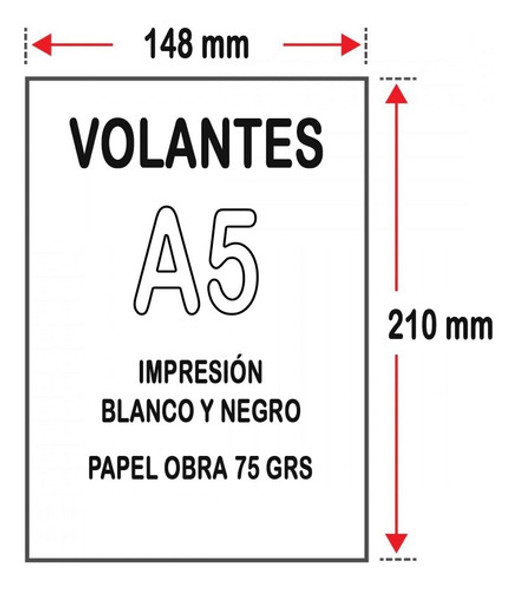 Volantes Folletos A5 15x21 Blanco Y Negro Papel Obra 1