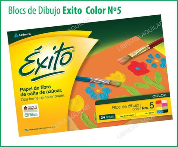 Block De Dibujo Nº5 Exito Hojas Color Colores Tipo El Nene 0