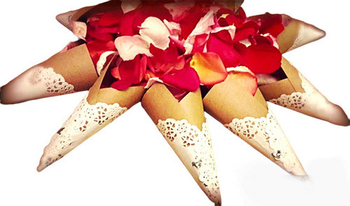 20 Conos Con Pétalos De Rosa Natural, Matrimonios Isiflor 1