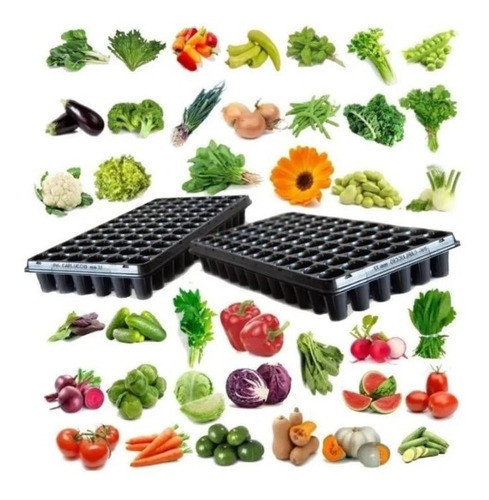 Kit Semillas Huerta + Aromáticas+ Flores+ Exóticas+ Bandejas 1