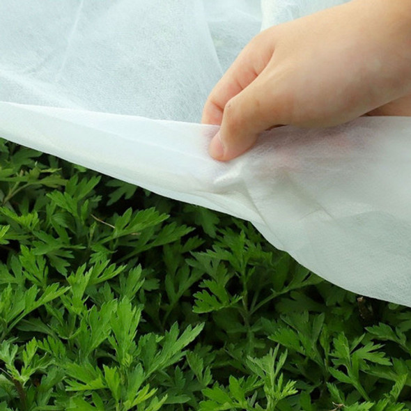 Tela Manta Térmica Antihelada Plantas Invierno 1,40 X 50 Mt 1