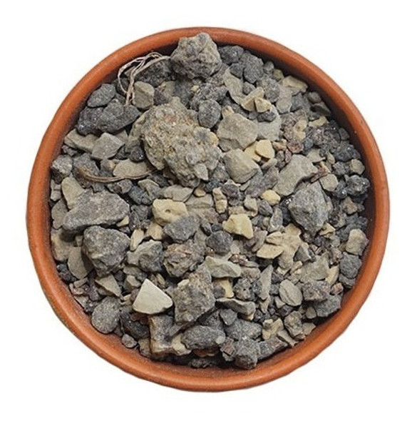 Benjui En Piedra, 100 Gramos 1