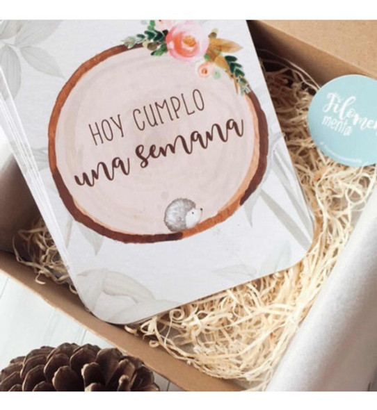 Kit Hola Mundo Crecimiento Bebé Diseño Animales Del Bosque 1