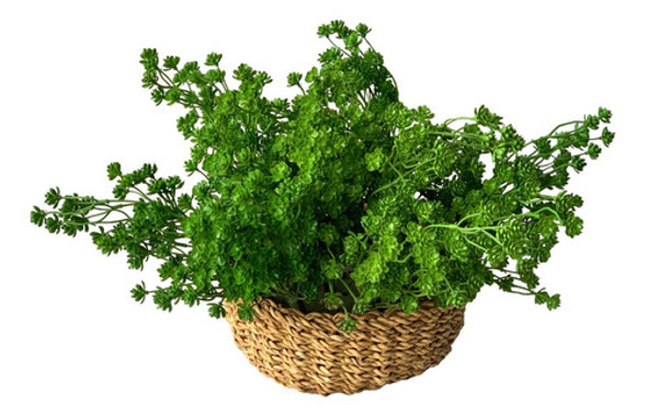 6 Plantas Pequenas Artificiais Para Floreira Suculenta Sedum 0