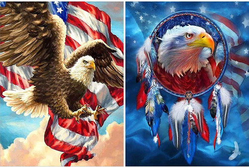 Kit De Pintura Con Diamantes 5d Estados Unidos Aguila 0