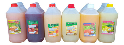 Jugos Naturales 5 Litros En Bidón 0
