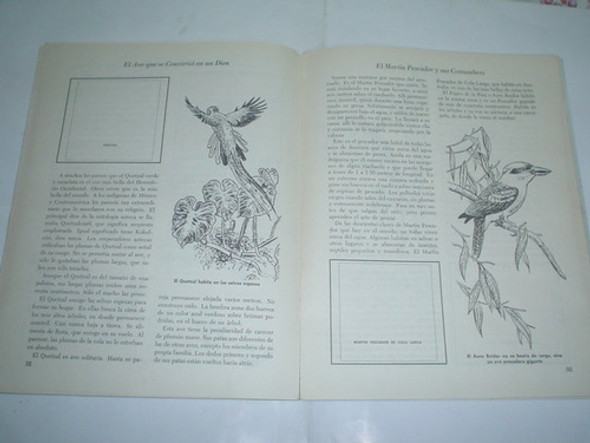 Estampas Aves  Nº 23 Novaro 1972 Album Figuritas Cromos 1