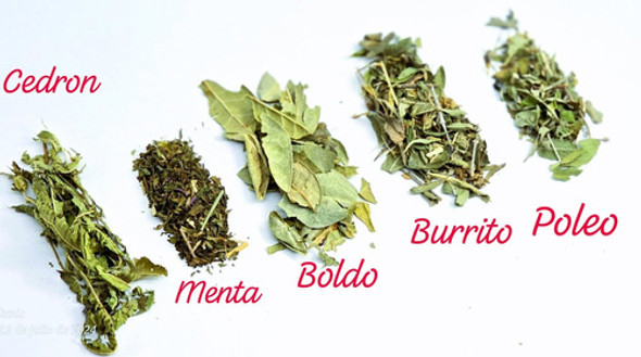 Yuyo Para Mate X 1kg (cedron,poleo, Menta,boldo,burrito) 0