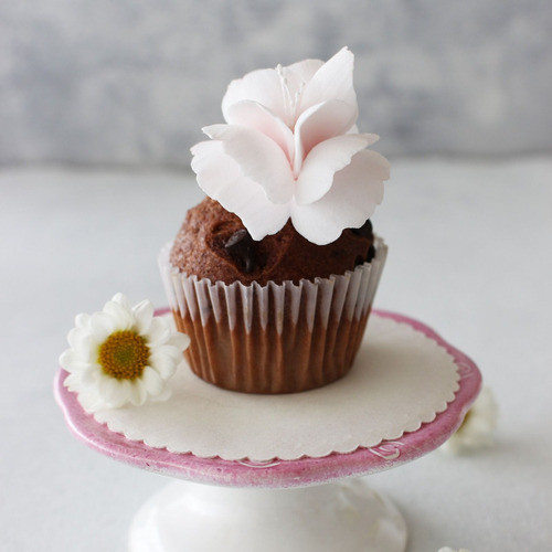 Pistilos Blancos Mini 480 Cabezas Cód. 9009 1