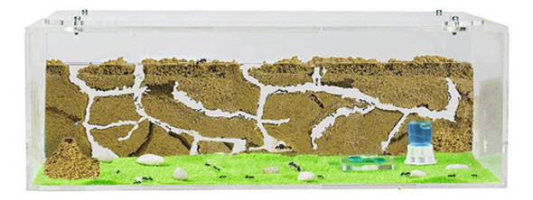 Kit De Inicio Granja De Hormigas Natural, 30x15x10 Cm 0