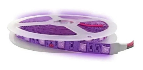 1mt Tira Uv 5050  + Conector 12vcc  Iluled Argentina 0