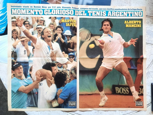Poster Copa Davis Argentina Semifinalista Año 1990 0