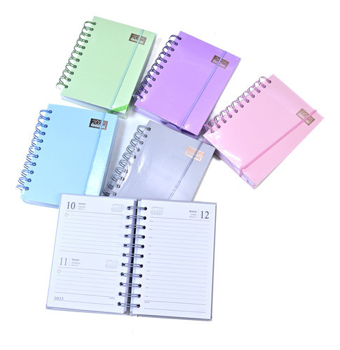 Agenda 2025 A6 Con Elástico Lila Pastel - Goldin Papelería 0