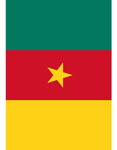 Toland Home Garden Bandera De Camerún 12.5 X 18 Pulgadas Ban 0 Toland Home Garden Bandera De Camerún 12.5 X 18 Pulgadas Ban 0