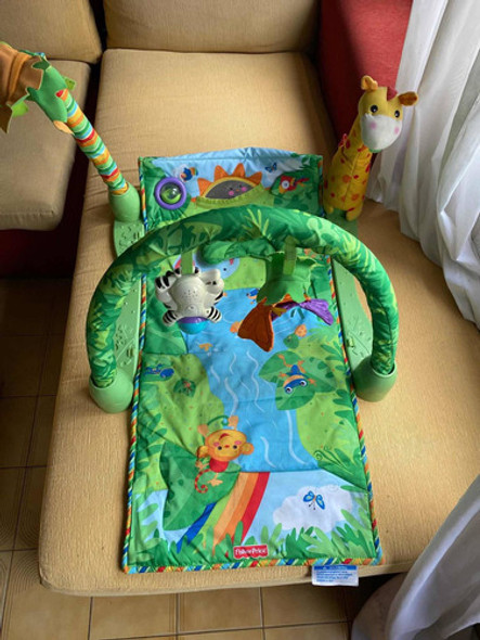 Gimnasio Para Bebés Fisher Price 0