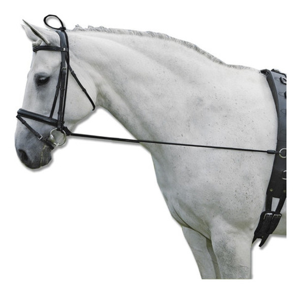 Jacaranda Training De Gogue Elastico 1