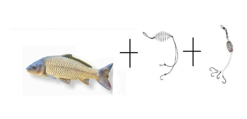 Harinado Ceba Para Carpas, Sábalo + Trampa Koraeana + Feeder 0