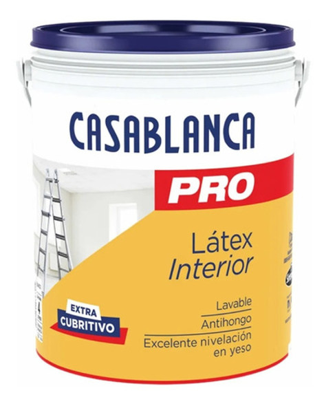 Casablanca Pro Interior 10ts - Migliore 0