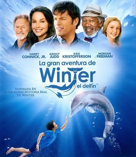 Winter El Delfin Bluray 0