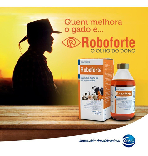 2 Roboforte 250ml - Fortificante Com B12 1