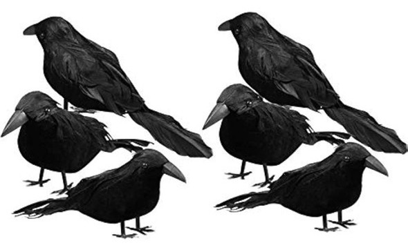 Sizonjoy 6 Piezas De Cuervos Con Plumas Negras De Halloween, 0