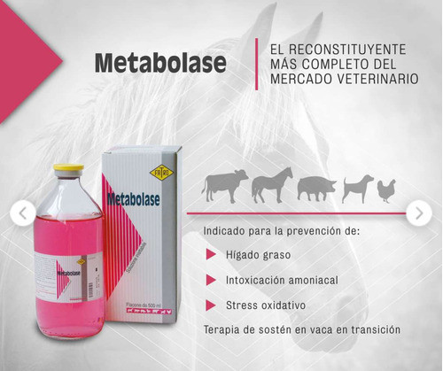 Metabolase 500ml Raid Enduro 1