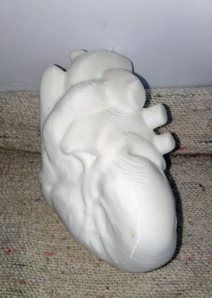 Corazón Humano Tamaño Real Medicina  Impreso 3d 1