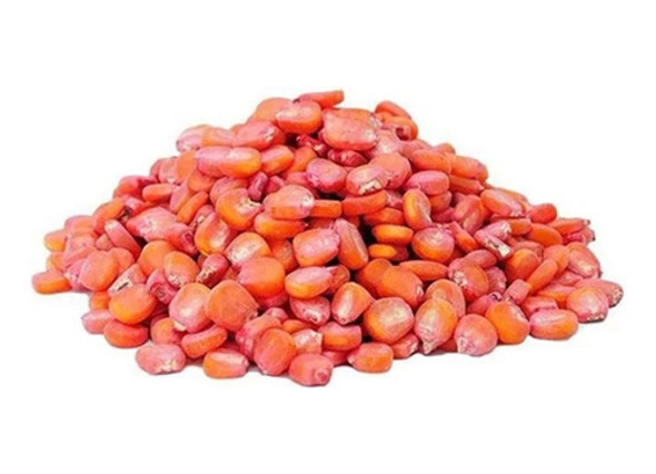 4.000 Sem. Milho Agroceres Transgênico Ag 8088 Vt Pro Fraci 0
