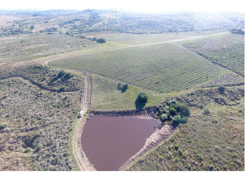 Exte. Establecimiento En La Sierra 0