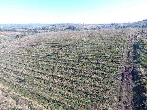 Exte. Establecimiento En La Sierra 1
