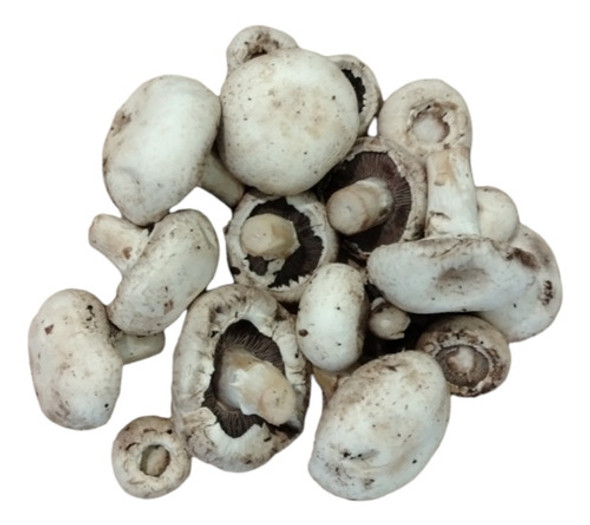 Champiñon Fresco Calidad Premium 500 Gr. 1