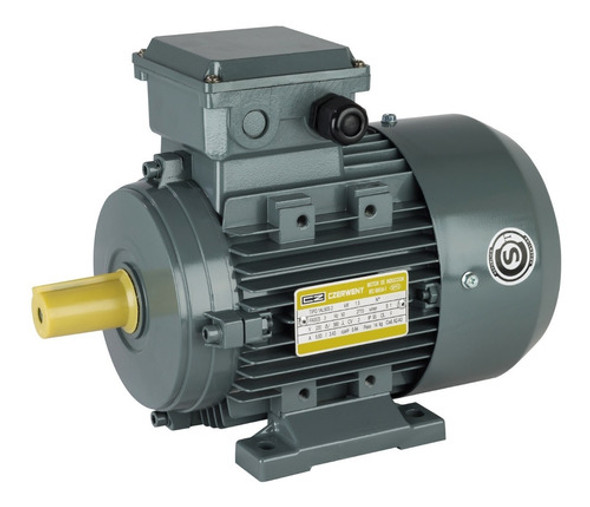 Motor Czerweny 0,33hp.1500 Rpm. 380v 1al7114 B3 Blindado 0