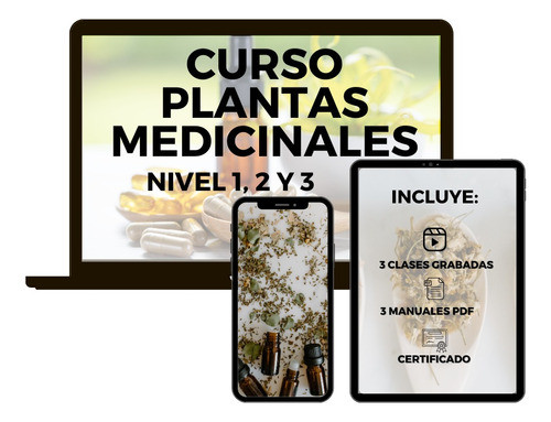 Curso Digital Plantas Medicinales Pdf Terapias Alternativas 0