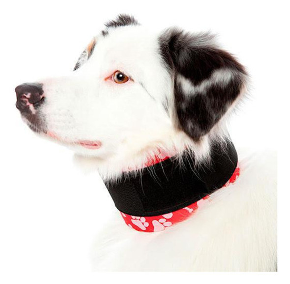 Colar Cervical Pet Med N° 4 - Conforto E Recuperação 0 Colar Cervical Pet Med N° 4 - Conforto E Recuperação 0