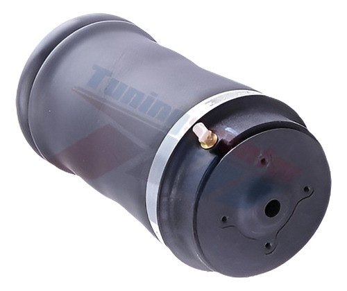 Trasero Bolsa De Aire Airmatic Para Mercedes W164 Gl Ml-clas 0