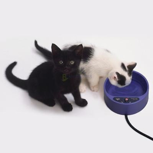 Deporte Viajes Alimentos Secos Para Mascotas Perro Gato Cali 1