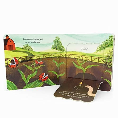 Book : Plant And Grow (john Deere Lift-a-flap Board Book) - 1