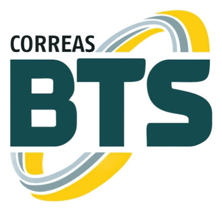 Correa A-45 Polea En A 1