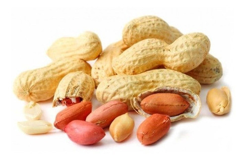 Amendoim Cru Em Casca 500g - Qualidade Premium - Promoção 1