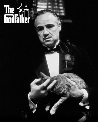 The Godfather - Gato - Poster Importado De 50 X 40 Cm 0