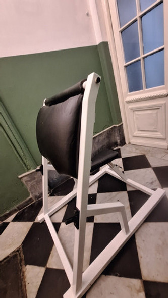 Biceps Con Banco Scott Pro Asiento Regulable Para Gimnasio 1