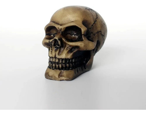 Nomoypet Ns-104 Caveira Resinada Pq 4x6x5cm 0