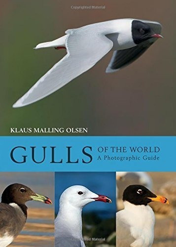 Libro Gulls Of The World A Photographic Guide 0