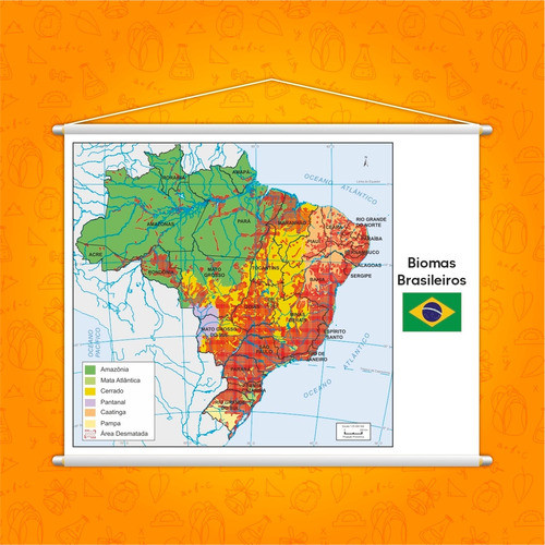 Banner Mapa Escolar Biomas Brasileiros Geografia 130x100cm 1