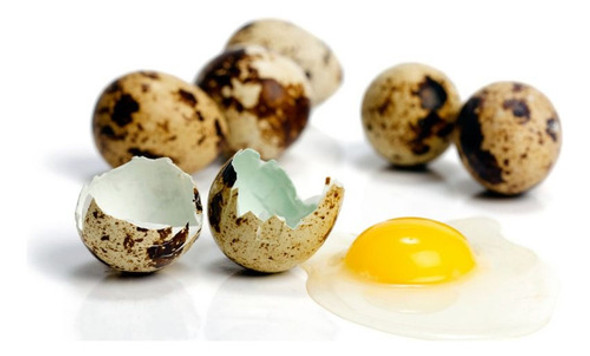 Huevos De Codorniz Orgánicos X Docena De Excelente Calidad 1