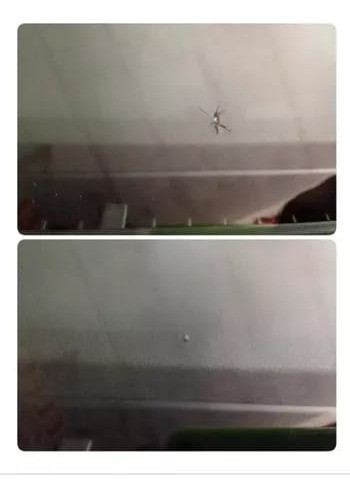 Arreglo De Parabrisas Con Resina En Warnes 1